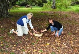 Collecting with mum